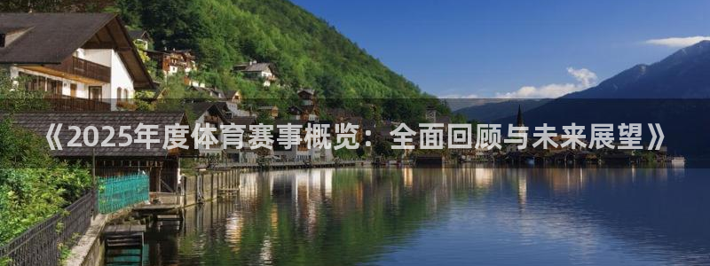 《2025年度体育赛事概览：全面回顾与未来展望》