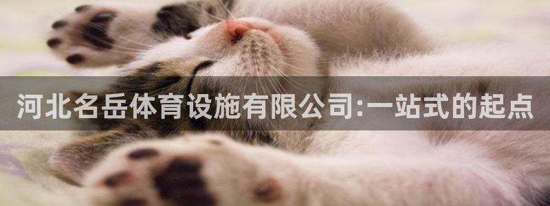 河北名岳体育设施有限公司:一站式的起点
