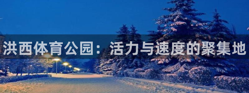 洪西体育公园：活力与速度的聚集地