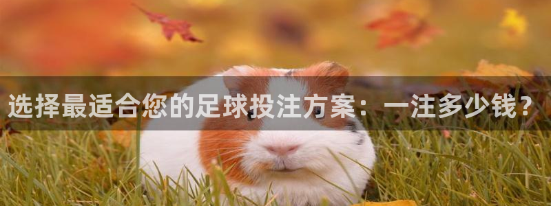 选择最适合您的足球投注方案：一注多少钱？