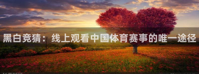 天天看球app官网下载
