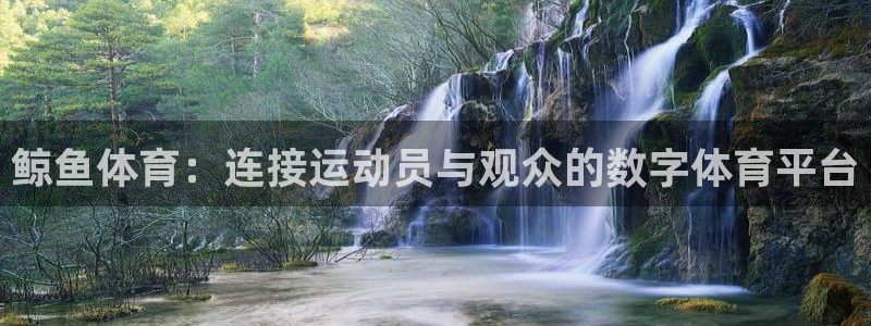 直播看球软件app