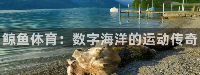 赛事通体育直播下载app免费看球赛：鲸鱼体育：数字海洋的运动传奇
